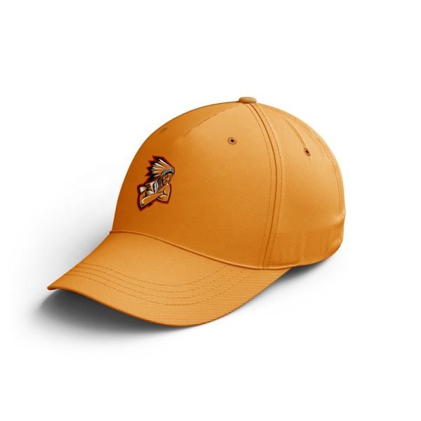 private label caps OEM custom caps manufacturer bulk private label headwear supplier