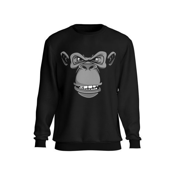 PT-SWT-036 heavy weight fleece sweatshirts OEM private label bulk manufacturer
